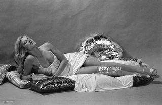 Sylvie Vartan feet photo 17