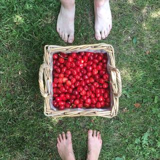 Sárka Krausová feet photo 12