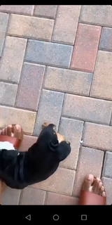 Ta'Rhonda Jones feet photo 13