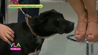 Tabata Jalil feet photo thumbnail