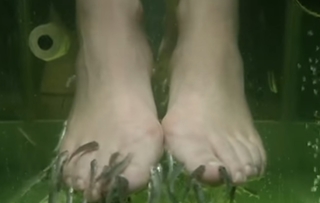 Tabata Jalil feet photo thumbnail