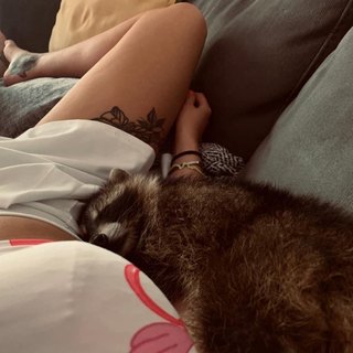 Tabby Sharp feet photo 4