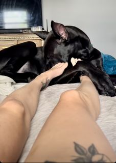 Tabby Sharp feet photo 15