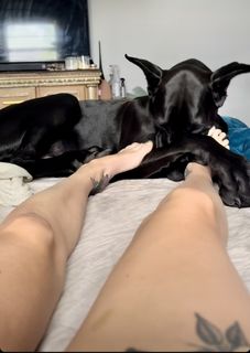 Tabby Sharp feet photo 14