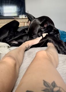 Tabby Sharp feet photo 13