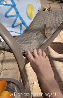 Tabby Sharp feet photo 4