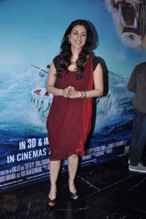 Tabu feet photo thumbnail