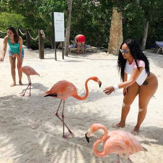 Tahiry Jose feet photo 1