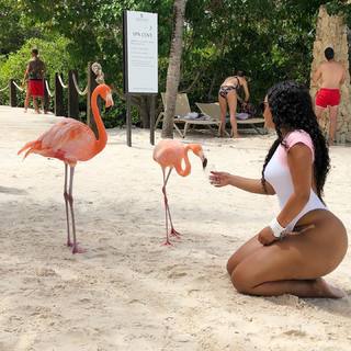 Tahiry Jose feet photo 20