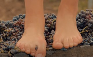 Taisiya Vilkova feet photo 9