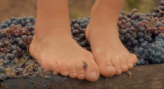 Taisiya Vilkova feet photo 8