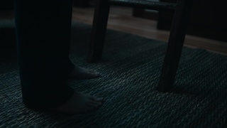 Taissa Farmiga feet photo thumbnail