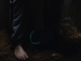 Taissa Farmiga feet photo thumbnail