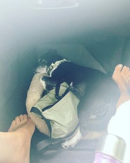 Talia Balsam feet photo 1