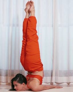 Talia Sutra feet photo 19