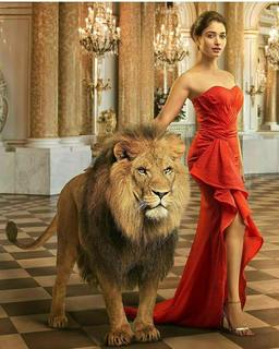 Tamannaah Bhatia feet photo thumbnail