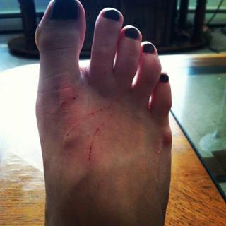 Tamara Chambers feet photo 7