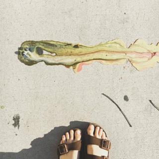 Tamara Chambers feet photo 1