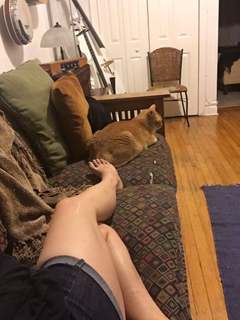 Tamara Chambers feet photo 4