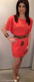 Tamsen Fadal feet photo 16