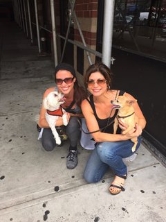 Tamsen Fadal feet photo 5