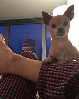 Tamsen Fadal feet photo 4
