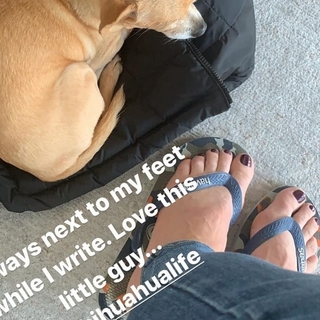 Tamsen Fadal feet photo 12