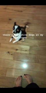 Tana Mongeau feet photo thumbnail