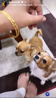 Tania feet photo thumbnail