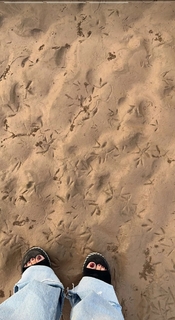 Tania feet photo thumbnail