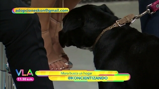 Tania Rincón feet photo thumbnail