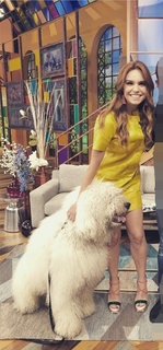 Tania Rincón feet photo thumbnail