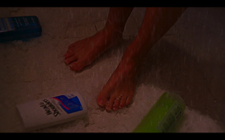 Tania Saulnier feet photo 2
