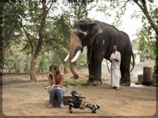 Tania Young feet photo 16