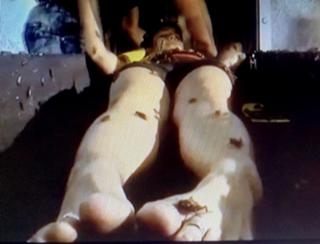Tanisha Mukherjee feet photo 7