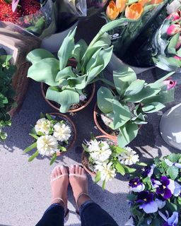 Taniya Nayak feet photo 16