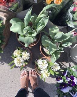 Taniya Nayak feet photo 19