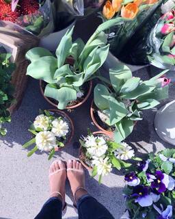 Taniya Nayak feet photo 9