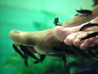 Tanja Dexters feet photo 10