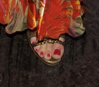 Tanja Szewczenko feet photo thumbnail