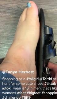 Tanya Herbert feet photo 11