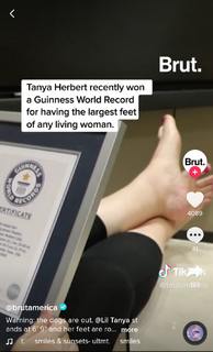Tanya Herbert feet photo 5