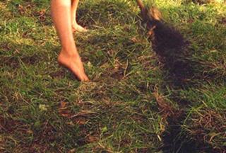 Tanya Roberts feet photo thumbnail