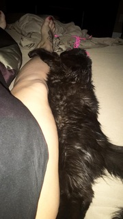 Tara Babcock feet photo 7