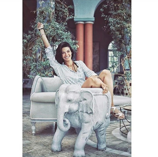 Tara Emad feet photo thumbnail