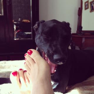 Tara Moss feet photo 17