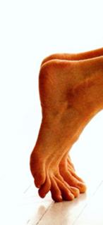 Tara Stiles feet photo thumbnail