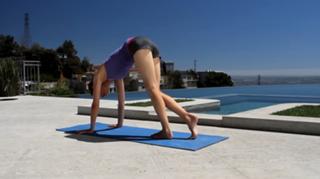 Tara Stiles feet photo thumbnail