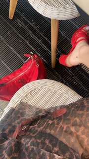 Tara Yummy feet photo thumbnail