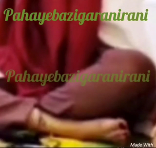 Taraneh Alidoosti feet photo thumbnail